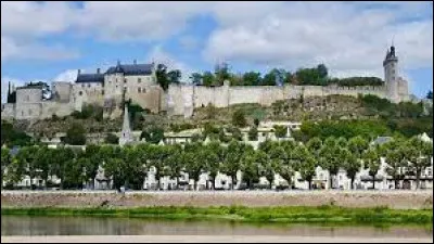 Comment se nomme cette forteresse de la Loire ?