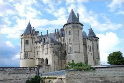 Quel est le nom de ce château de la Loire ?