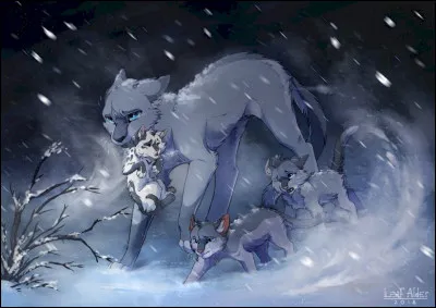 Quel serait ton terrain de chasse favori ?