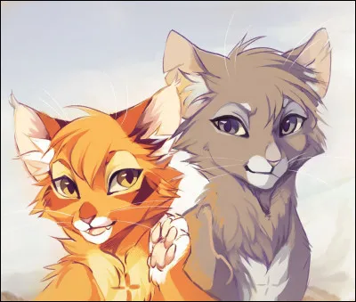 Tu aperçois un chaton en détresse mais il n'est pas de ton clan et il est sur son territoire. Tu...