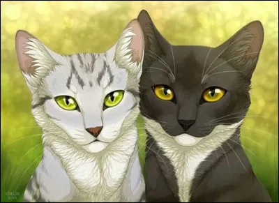 Quel chef aimerais-tu avoir ?