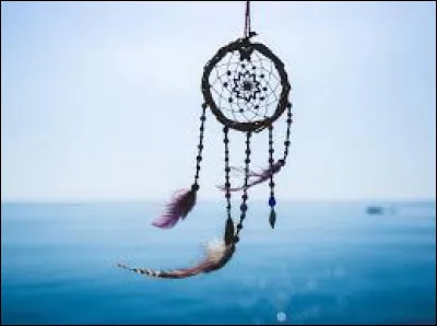 Ton r&ecirc;ve serait :