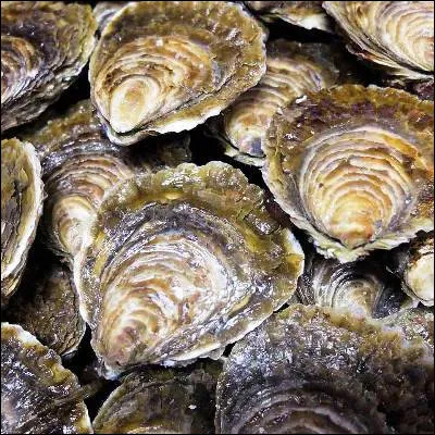 Quel nom porte lhuître gravette quand elle est élevée en Bretagne ?