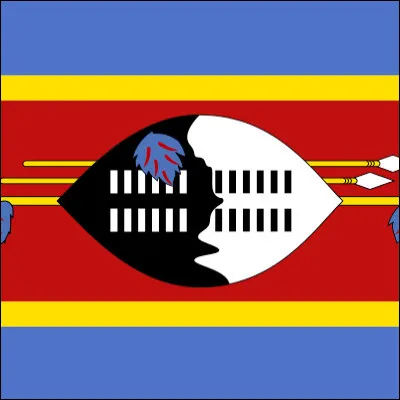 Quel pays dAfrique a changé officiellement de nom en 2018 pour devenir lEswatini ?