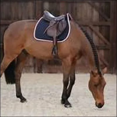 Quelles sont les affirmations exactes ?