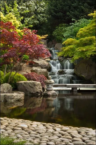 Combien d'anneaux principaux lui connaît-on ?