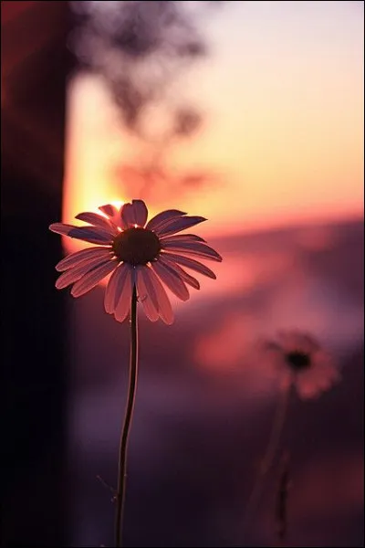 Qu'en est-il de ses satellites ?