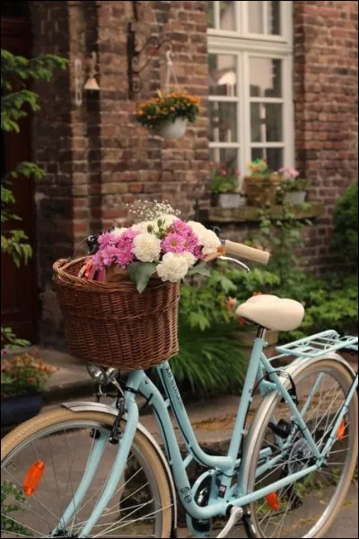 Lequel de ces noms correspond à l'un de ses satellites ?