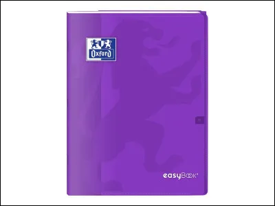 Ton cahier de cours ressemble à...