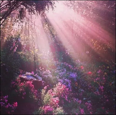 Où retrouvez-vous Béralde ?