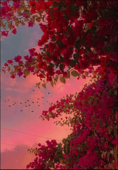 Il s'agit d'une adaptation de La Marmite de Plaute :