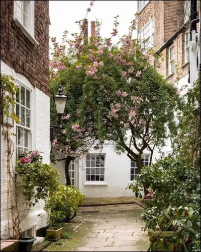 Angélique aime Cléante :