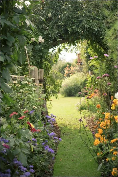 Où s'apprend l'épistèmè selon lui ?