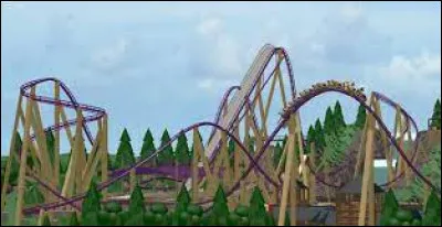 Quand tu crées un roller-coaster dans ton parc, que fais-tu ?