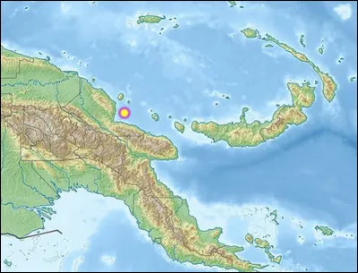 Ne marchant pas au radar, Dumont d'Urville baptisa cette baie de Nouvelle-Guinée en 1827 du nom de son navire : lequel ?