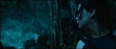 Qui meurt à cause du brouillard toxique ?