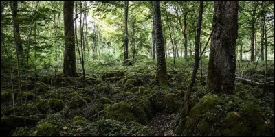 Quel personnage est arrêté pour braconnage ?