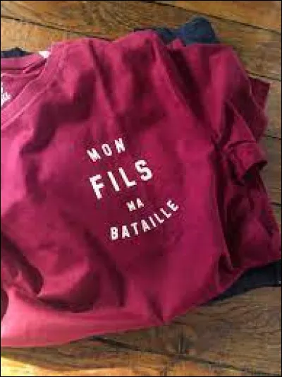 Dans quelle chanson se trouvent les paroles suivantes : "Les juges et les lois/ Ça m'fait pas peur" ?