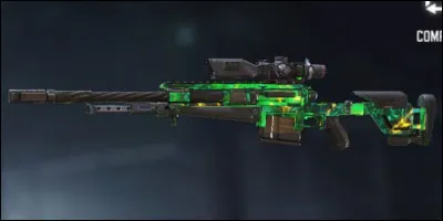 Quelle est cette arme ?