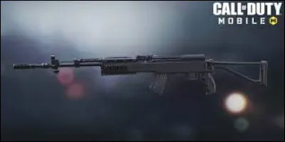 Quelle est cette arme ?