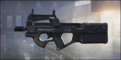 Quelle est cette arme ?