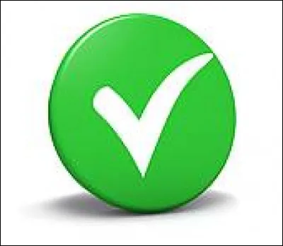 Quelle est ta plus grande qualité ?