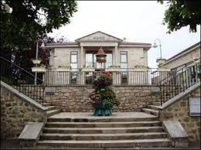 Ville de l'arrondissement d'Yssingeaux, en Auvergne-Rh&ocirc;ne-Alpes, Saint-Pal-de-Mons se situe ...