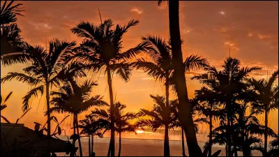 Laquelle de ces images te parle le plus ?