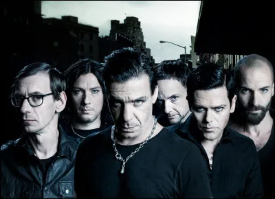 Complétez : 
"Ich werde nie satt, ich werde nie..."