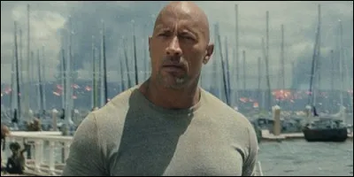 Quel métier exerce Ray Gaines dans "San Andreas" ?