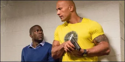 Dans "Agents presque secrets", qui va épauler Bob Stone dans son enquête pour la CIA contre sa volonté ?