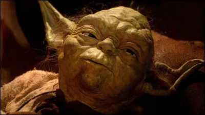 Quel âge Yoda a-t-il ?