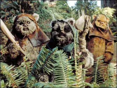 Les ewoks pensent que C-3PO est un dieu.