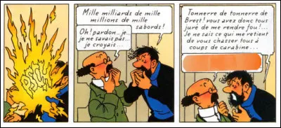 À la fin de "L'Affaire...", nous assistons à une bévue plus un quiproquo, ce dernier aux conséquences finalement plutôt positives ! Que rétorque Tournesol à l'infortuné Haddock ?
