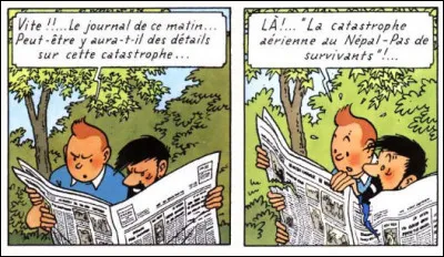 C'est un moment de tension extrême, où se noue l'intrigue, tout au début de "Tintin au Tibet". Mais que remarque-t-on de particulier sur ces deux cases, par rapport à l'original ?