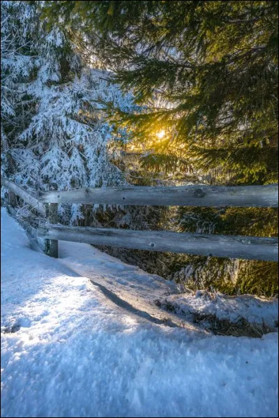 Comment appelle-t-on la technique du siège ?