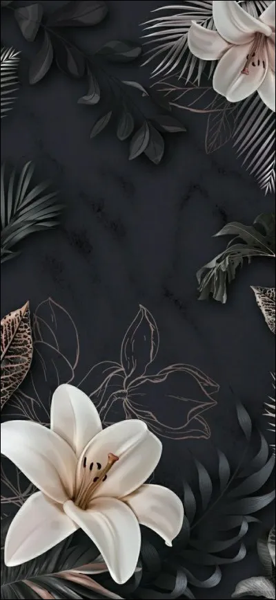 Qu'appelle-t-on le county seat aux USA ?