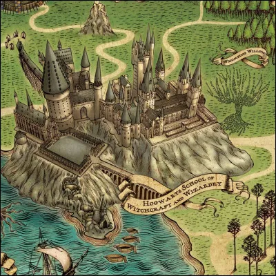 Dans quelle maison de Poudlard a-t-il été ?