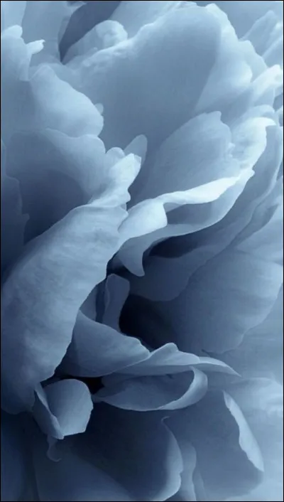 La série "Plus belle la vie" est tournée à Lille :