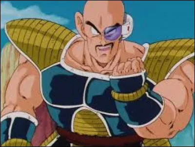 Qui est ce personnage de ''Dragon Ball Z'' ?