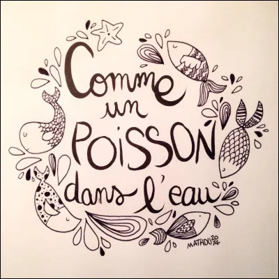 "&Ecirc;tre comme un poisson dans l'eau" signifie...