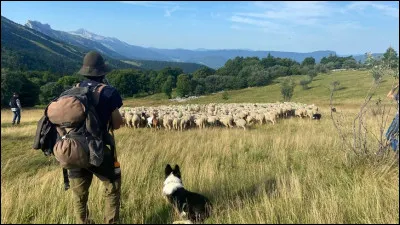 Y'a tant de vagues et de fumée - Qu'on n'arrive plus à distinguer - Le blanc du noir !