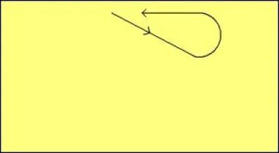 Comment s'appelle cette figure de dressage ?