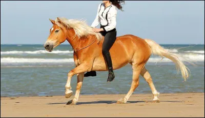 Quelle sont les aides naturelles ?