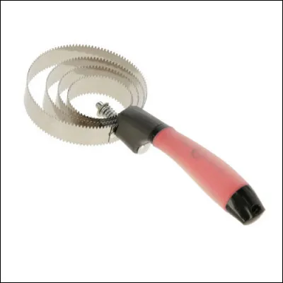 Comment s'appelle cette brosse ?