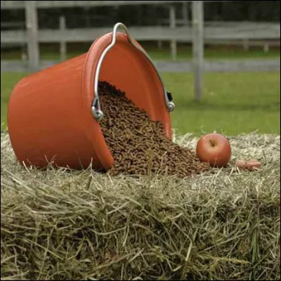 Dans quel ordre donne-t-on les aliments ?