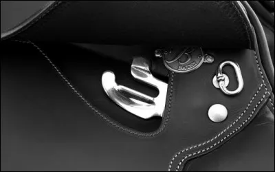 Comment s'appelle la partie de la selle où sont accrochées les étrivières ?