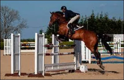 Pour franchir un petit obstacle il faut :