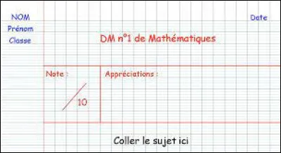 L'immersion commence ici. Ce matin, tu vas au collège. Il y avait un DM de mathématiques à rendre mais ton ami(e) ne l'a pas fait. Coup de chance ! Le professeur s'absente pour aller faire des photocopies ! Comment réagis-tu au fait que ton ami(e) n'ait pas fait son DM ?