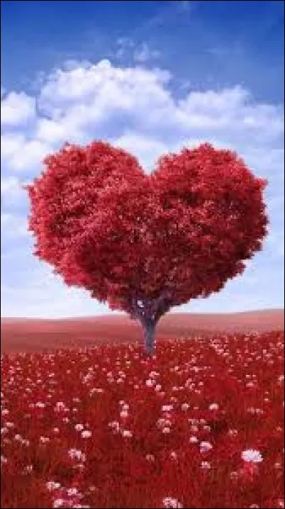 Où en est ta vie amoureuse ?